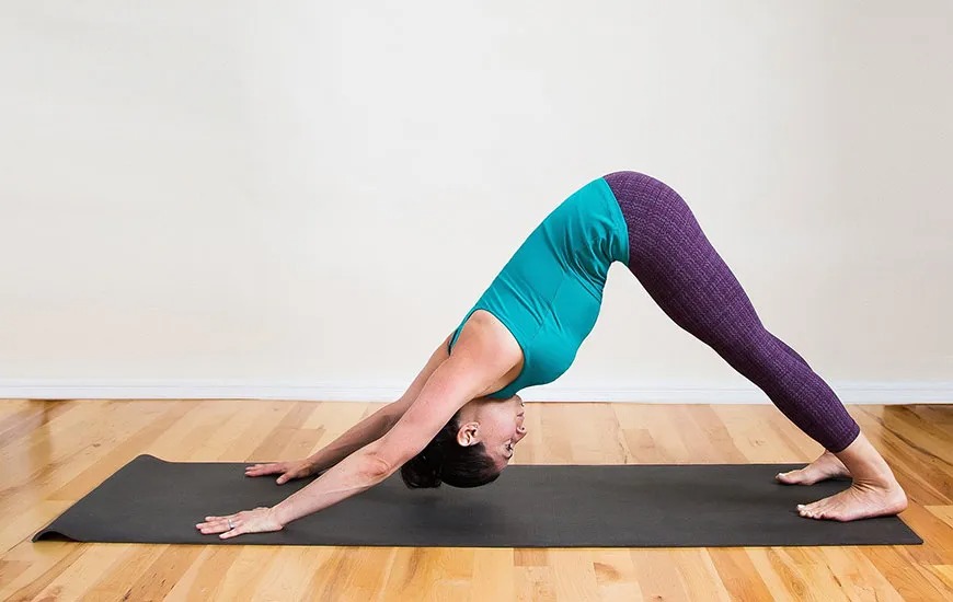 Downward-Facing Dog yoga pose